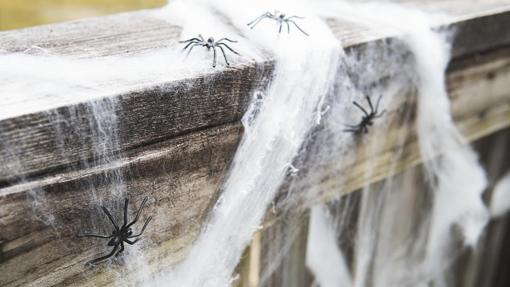 Outdoor patio decorated with Happy Hippo spider web