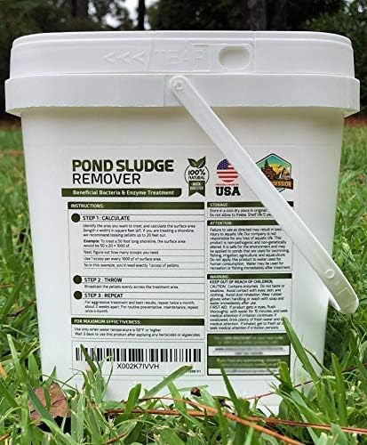 Outdoor pond with clear water and plants after using sludge remover