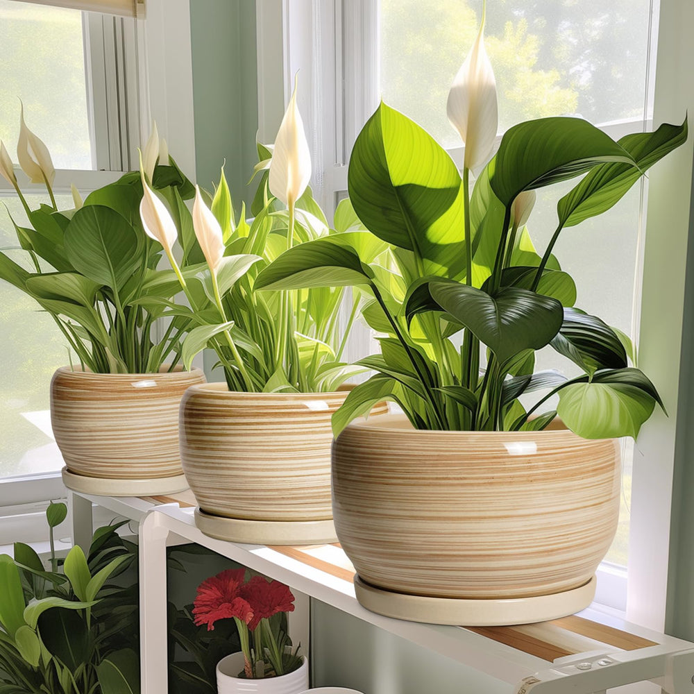 Outdoor setting featuring SQOWL Ceramic Plant Pot