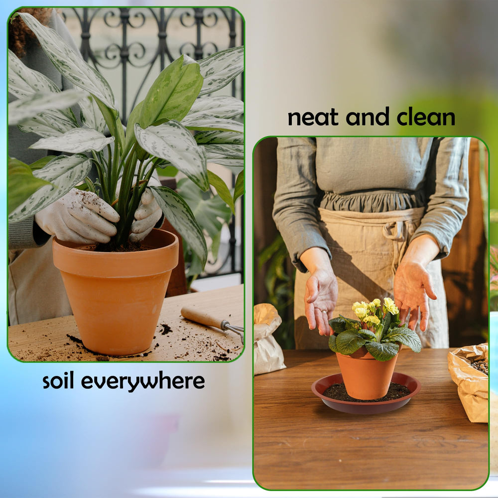Outdoor setup of TNTIWQ plant saucer on patio