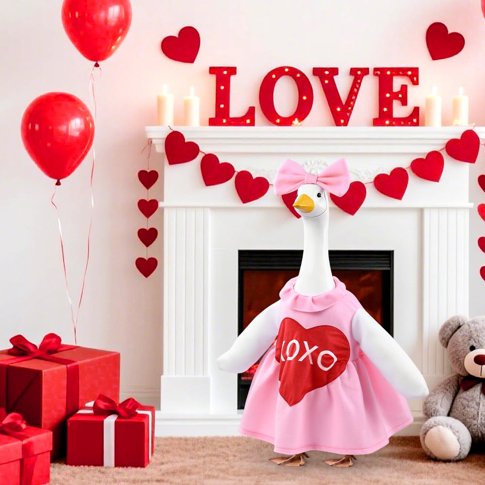 Outfit package with goose costume and bow