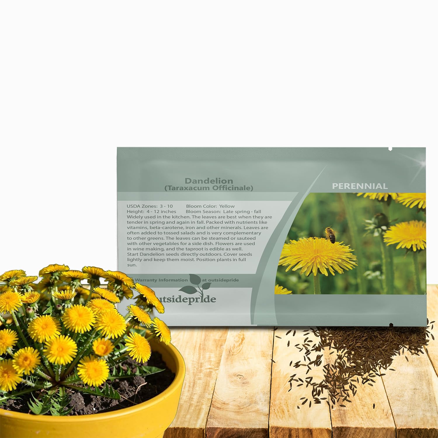 Outsidepride Dandelion Seeds packaging front view with yellow label