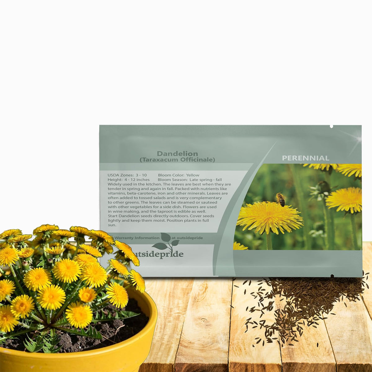 Outsidepride Dandelion Seeds packaging front view with yellow label