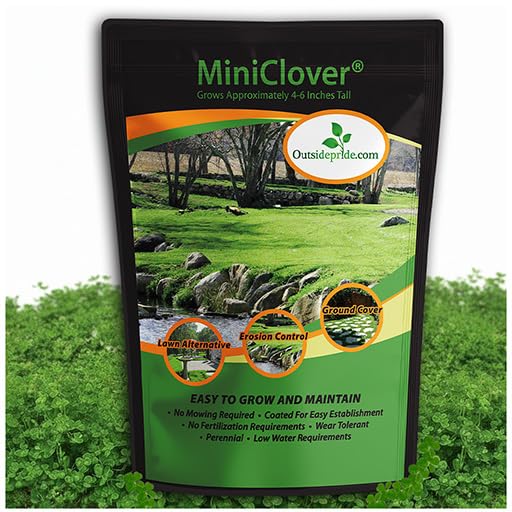 Outsidepride MiniClover Seed 2 lb packaging front view