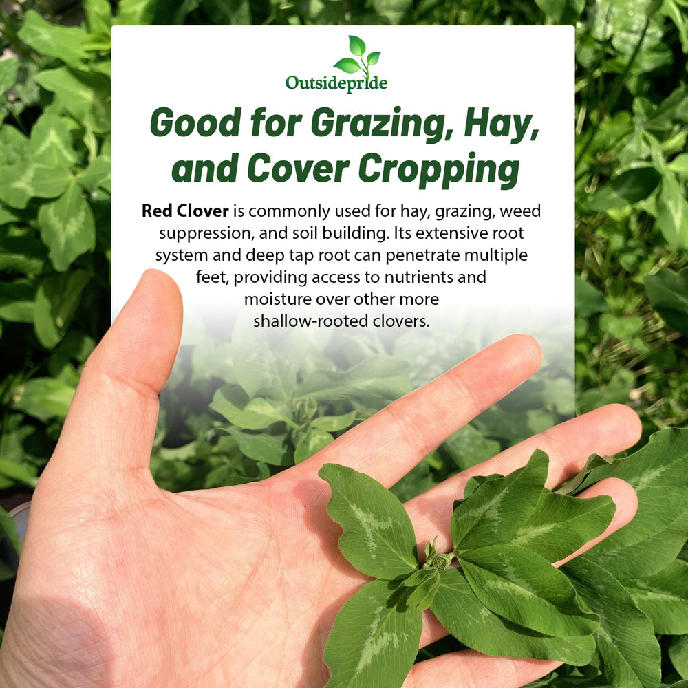 Outsidepride Red Clover Seeds packaging side view