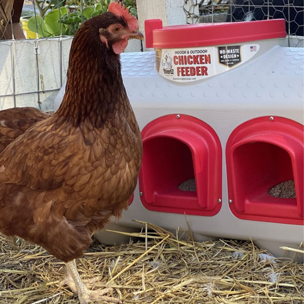 OverEZ Chicken Feeder filled with feed outdoors