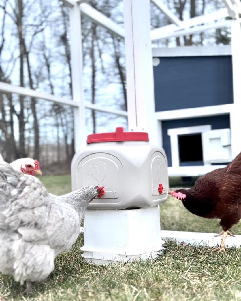 OverEZ Compact Chicken Waterer packaging and contents
