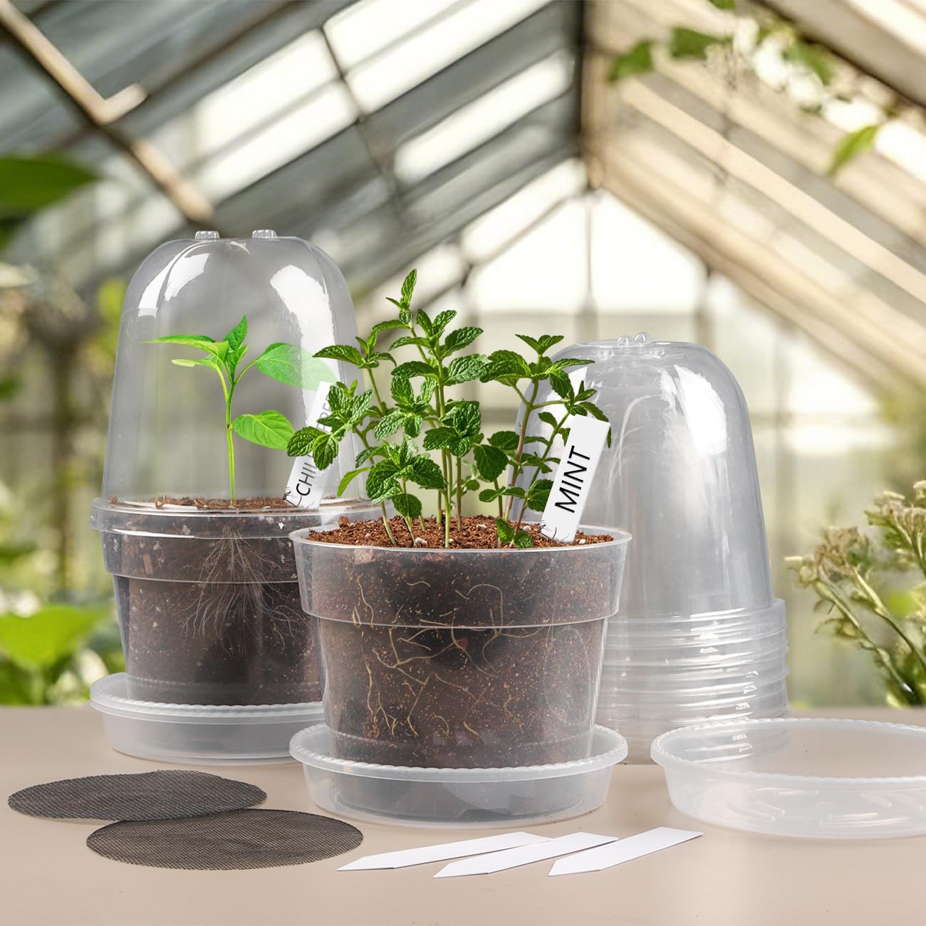 Overview of BTPLASTIK nursery pots with plant labels and trays