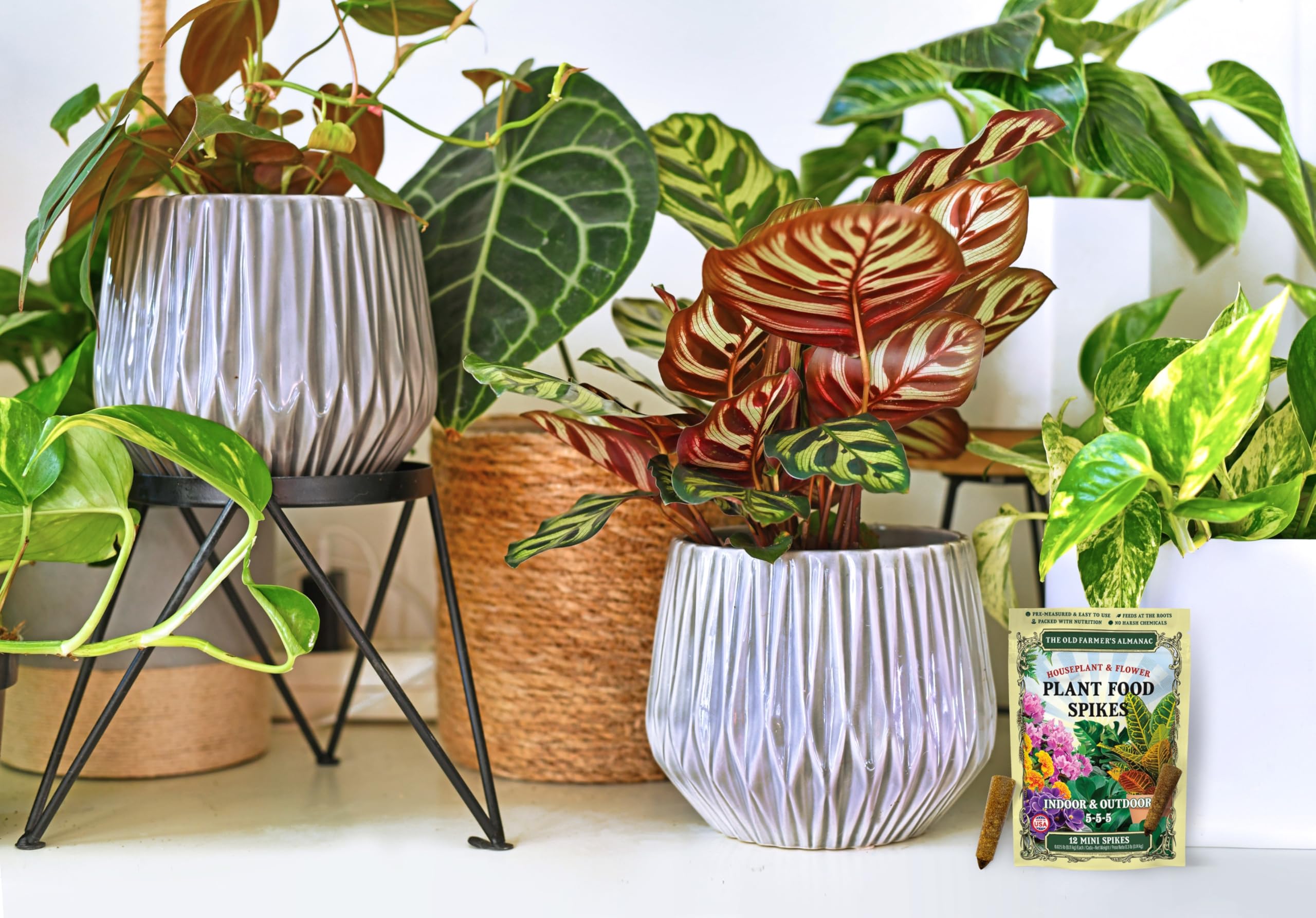 Overview of The Old Farmer's Almanac Mini Spikes with gardening tools