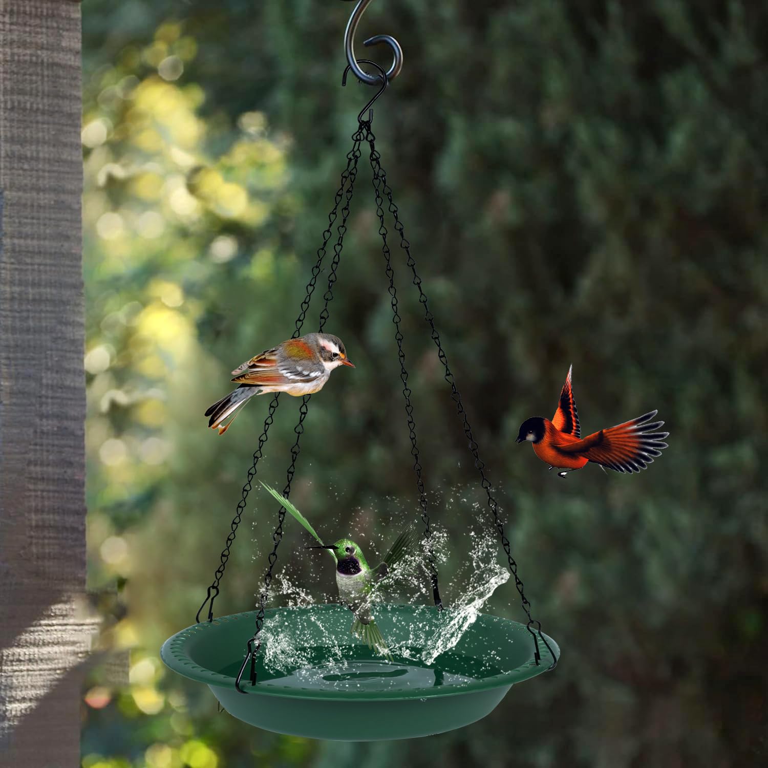 OVZILKI Bird Bath Bowl easy to clean with water