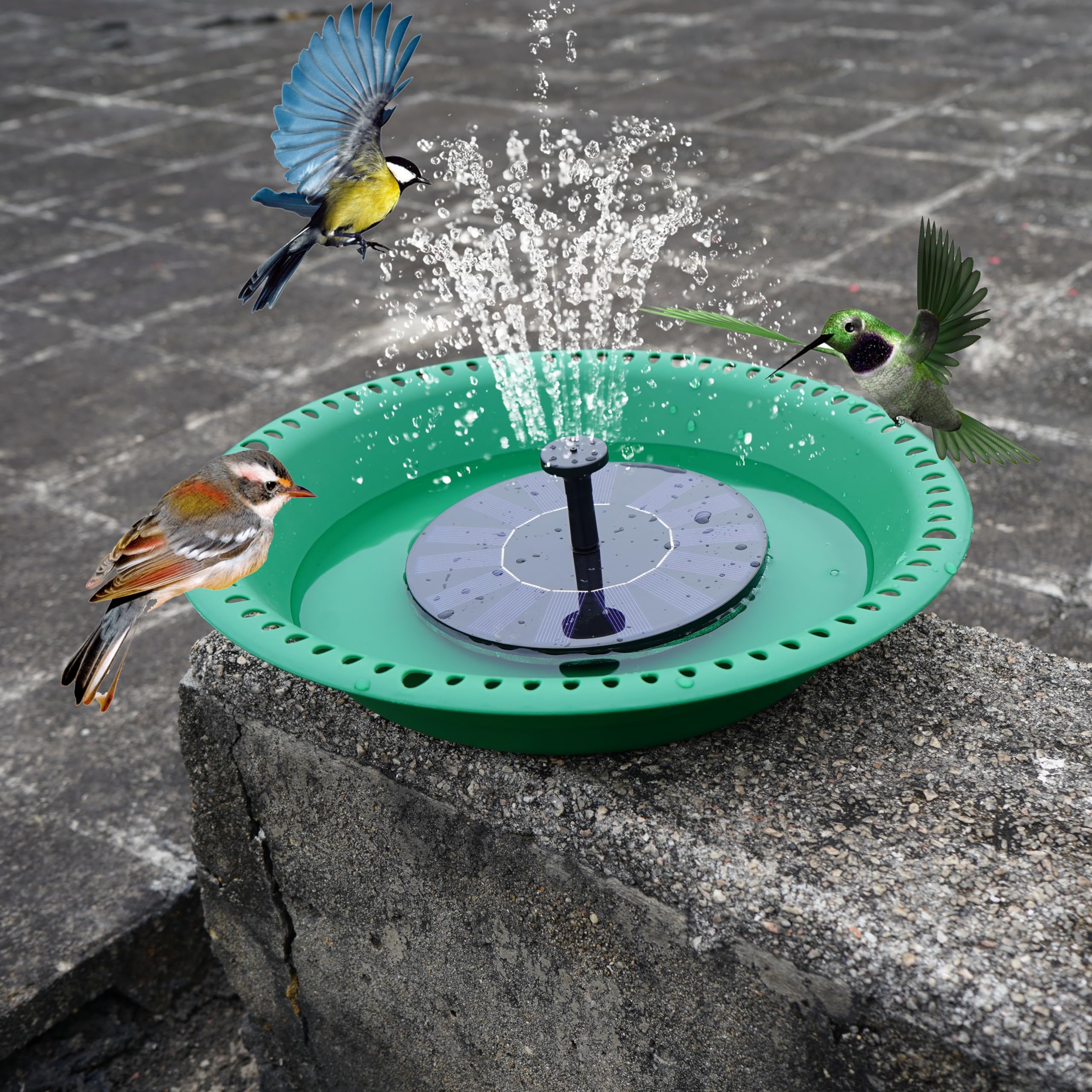 OVZILKI Bird Bath Bowl showing depth and design