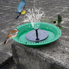 OVZILKI Bird Bath Bowl showing depth and design