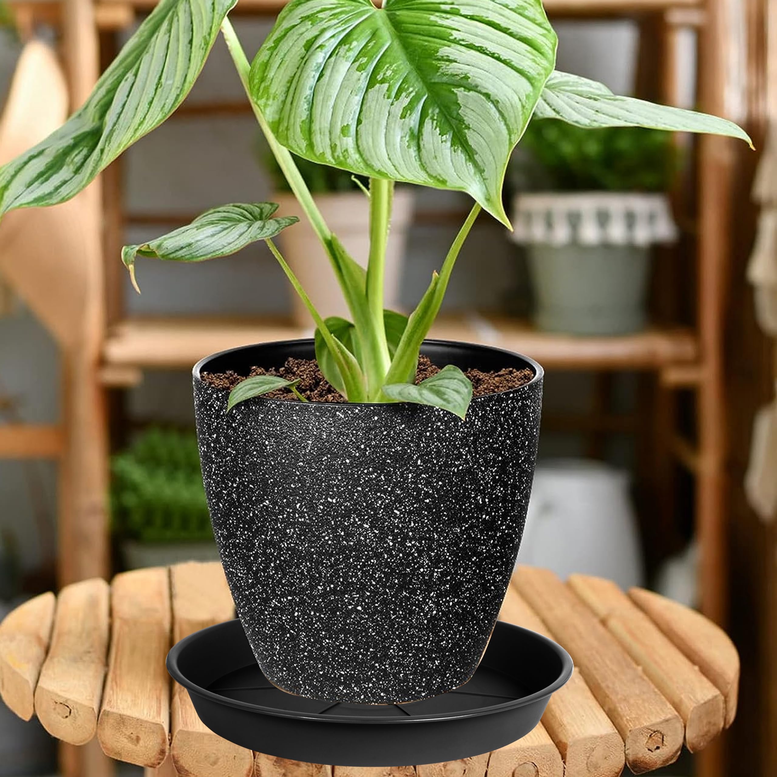 OVZILKI plant saucer tray with water from a plant