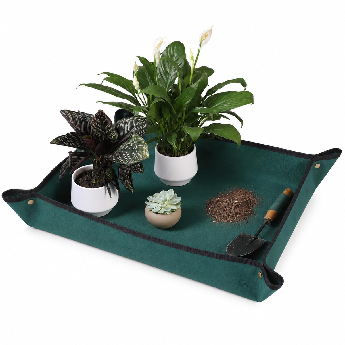 Owl Focus Repotting Mat green colour front view