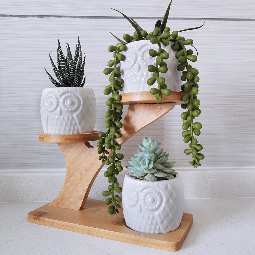 Owl succulent pot with decorative items inside