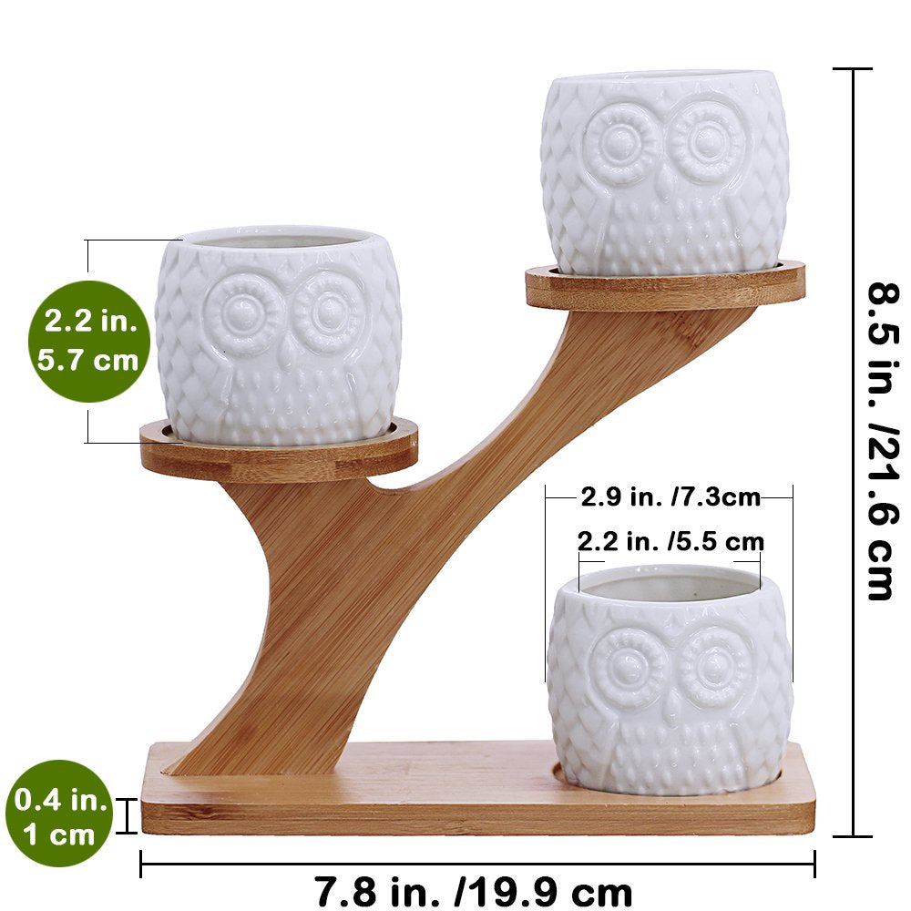 Owl succulent pots arranged on a desk
