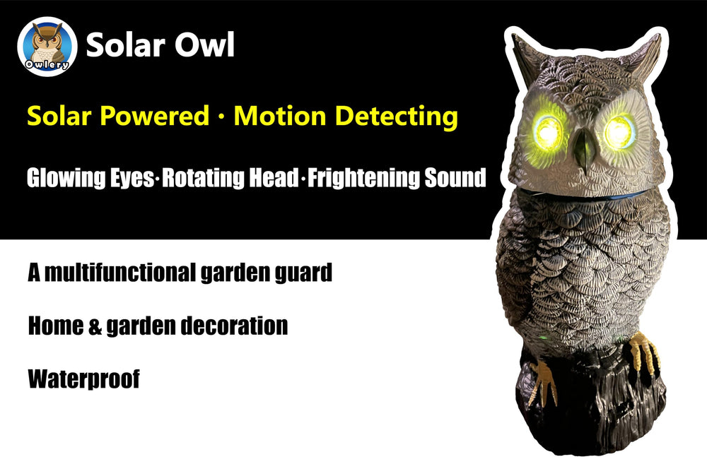 Owlery Brown Solar Owl statue with spinning head