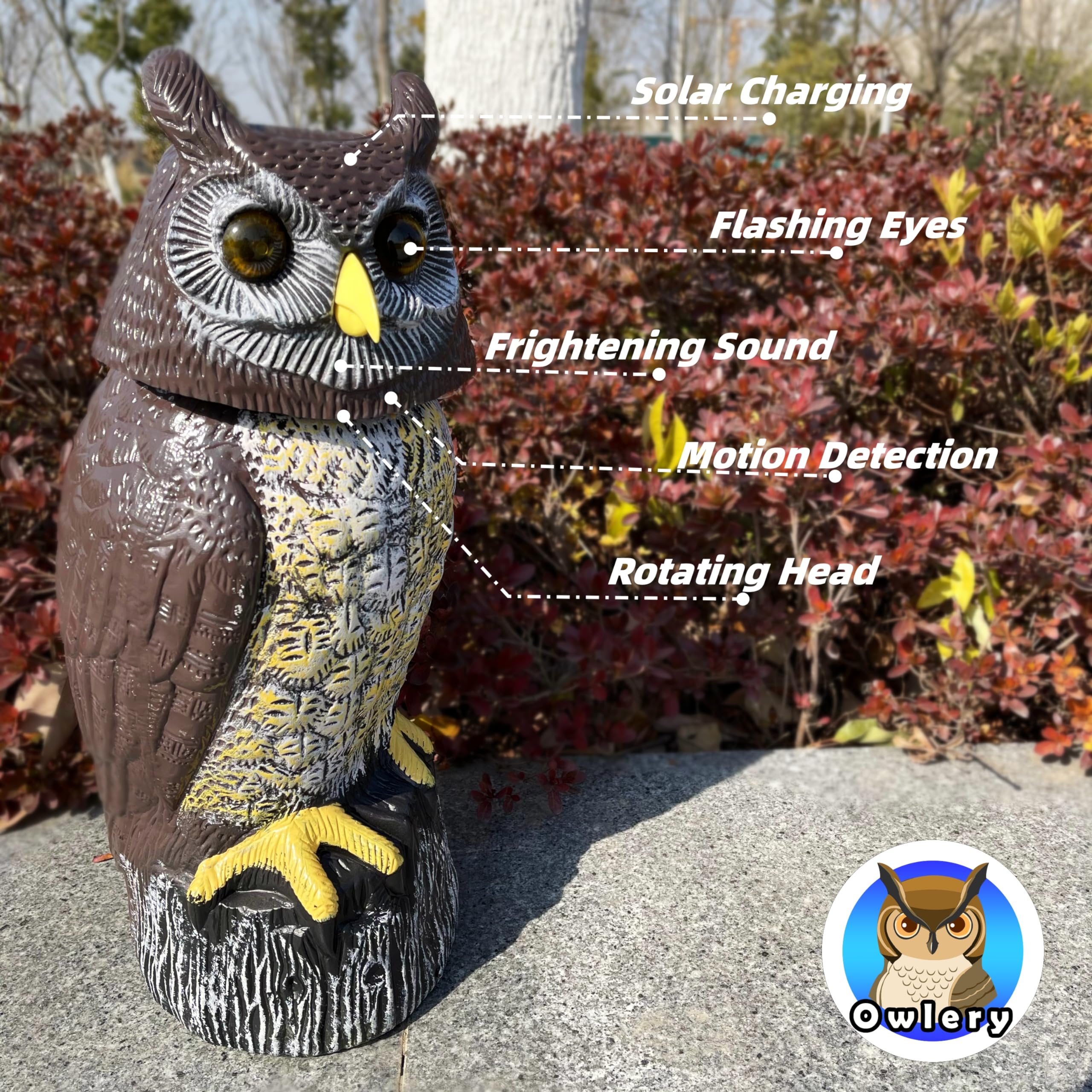 Owlery Solar Owl back view displaying solar panel