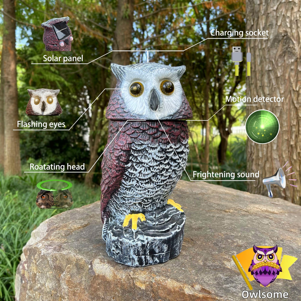 Owlsome Solar Red Owl with glowing eyes and rotating head