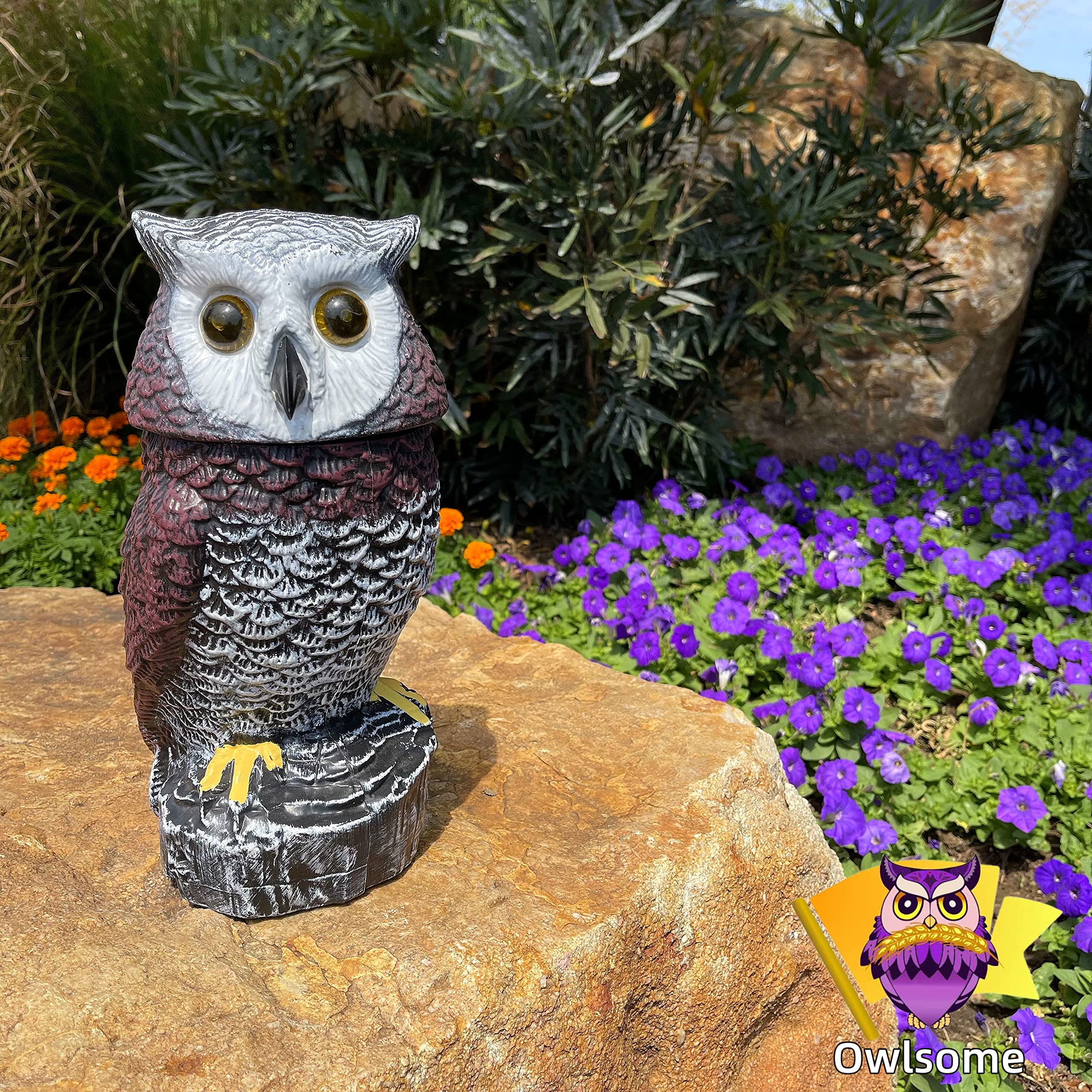 Owlsome Solar Red Owl with solar panel on top