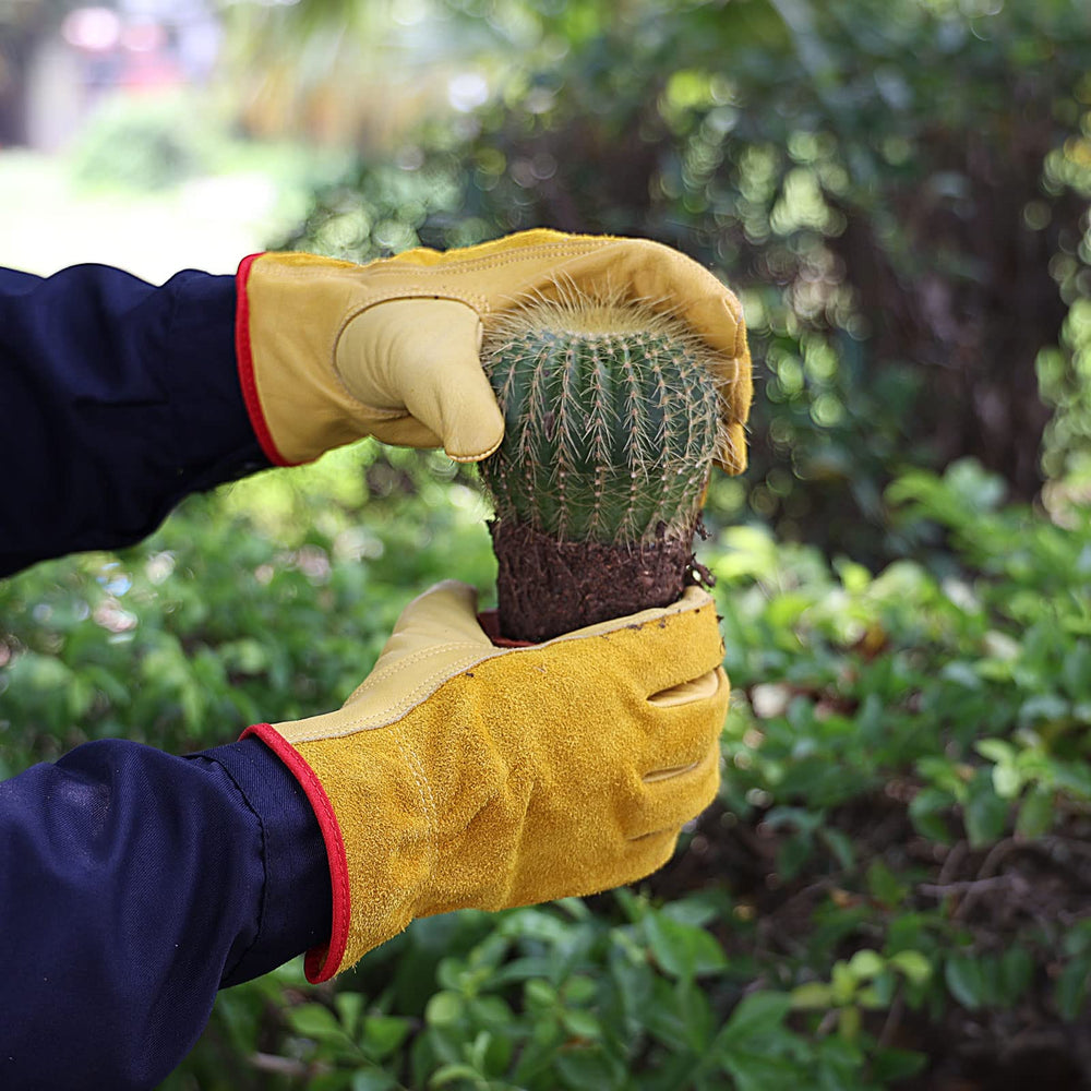 OZERO Gardening Gloves displayed with tools