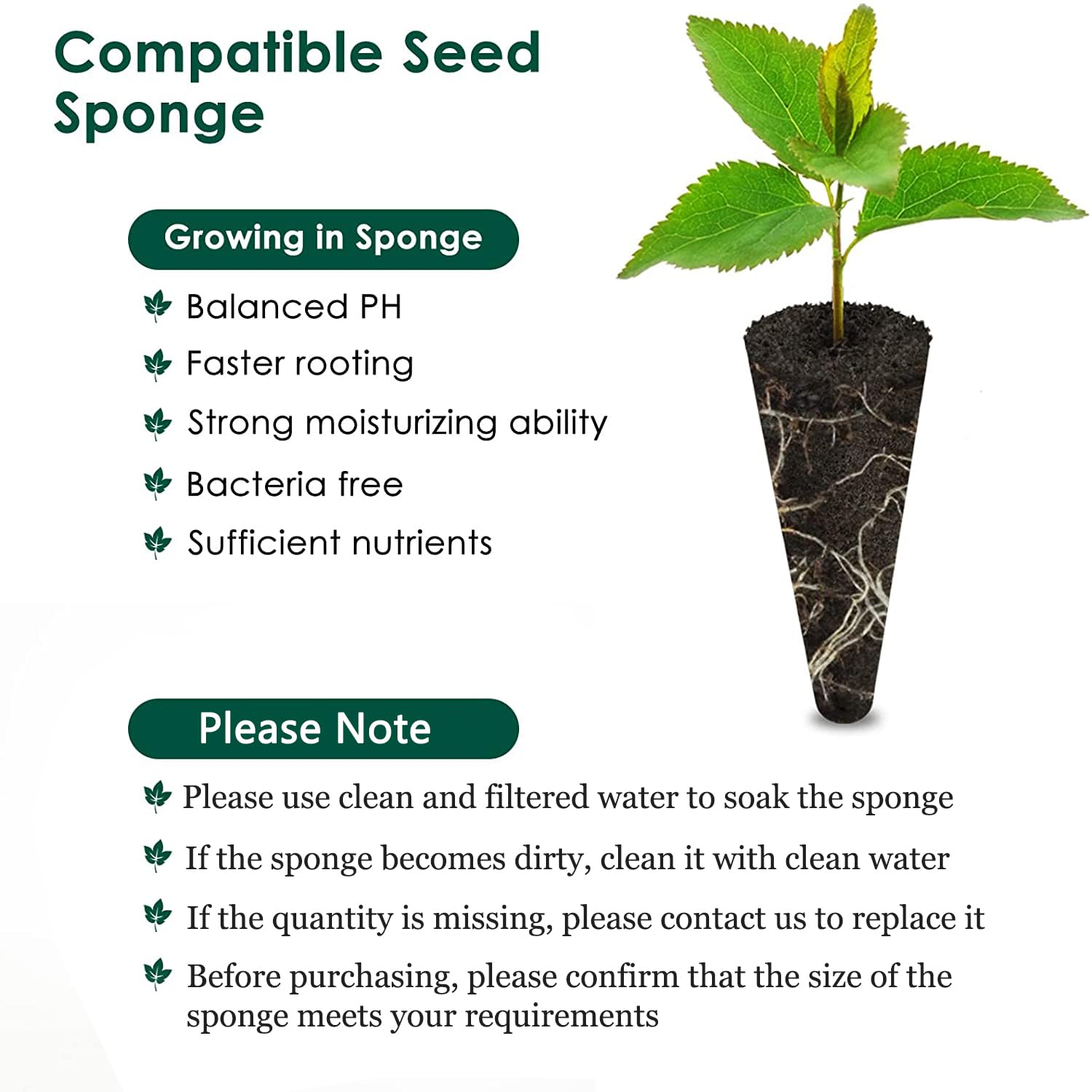 PACETAP Grow Sponges in packaging