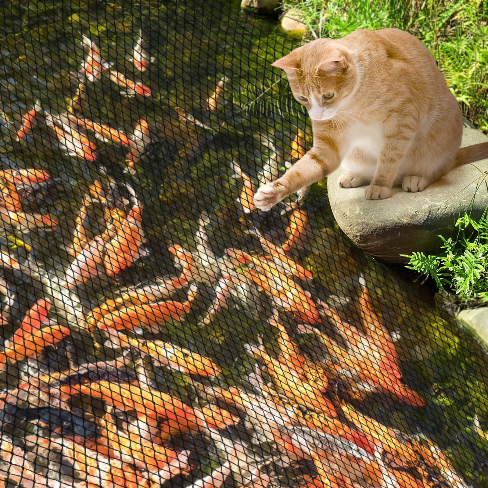 PACETAP pond netting in garden setting with plants