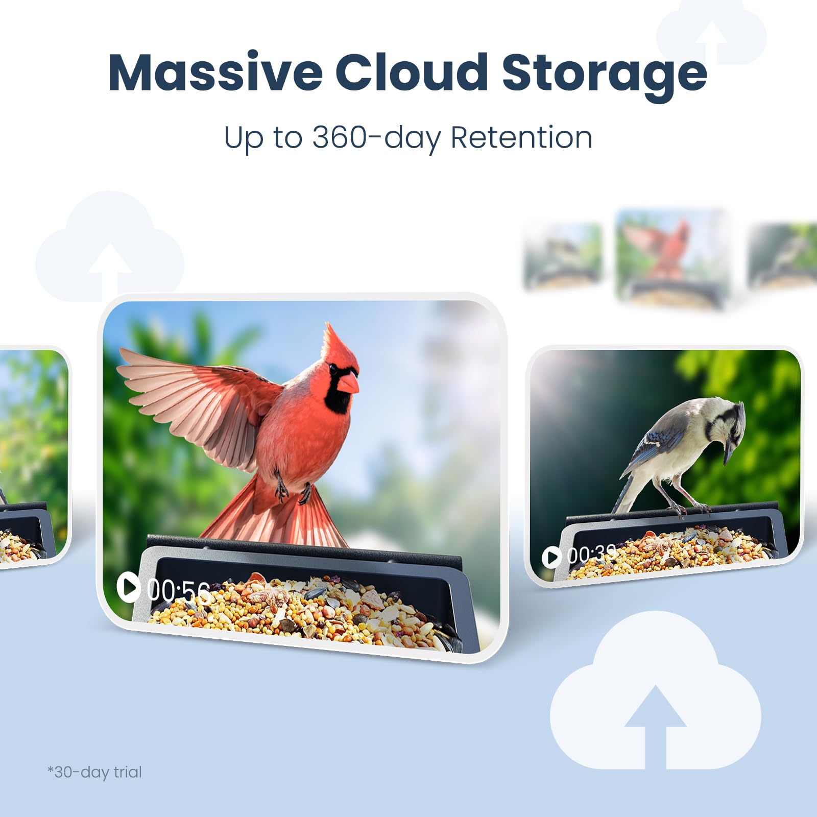 Pack contents of WLNYUGS Smart Bird Feeder Camera in box