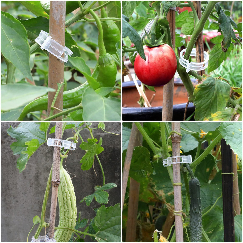 Pack dimensions of Oligei Plant Support Clips