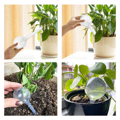 Pack of 10 clear self-watering bulbs by Irrmshr