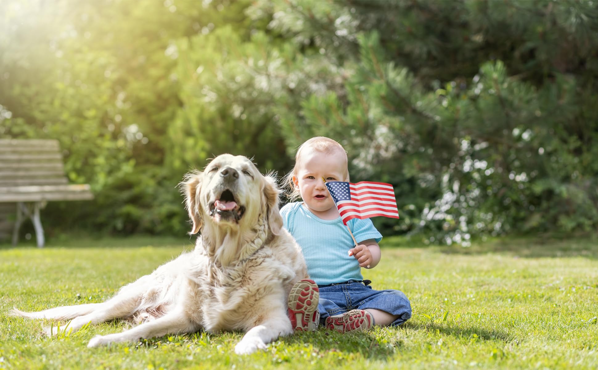 Pack of 12 Uelfbaby Small American Flags
