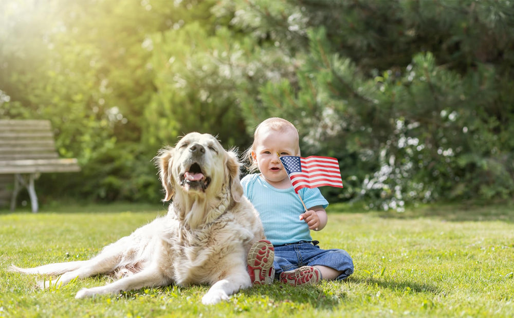 Pack of 12 Uelfbaby Small American Flags