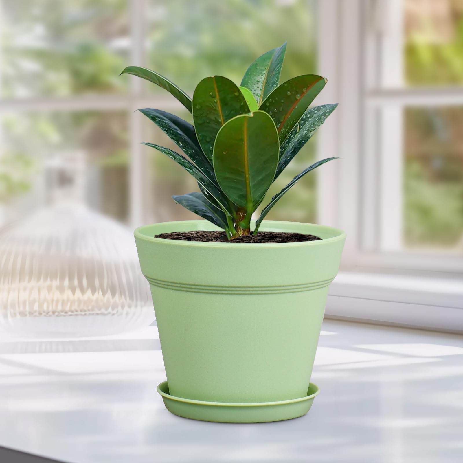 Pack of 16 Meowell plastic nursery pots with saucers