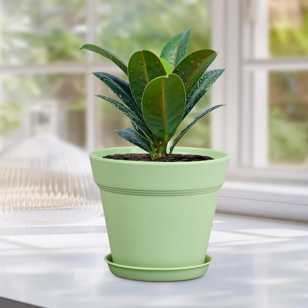 Pack of 16 Meowell plastic nursery pots with saucers