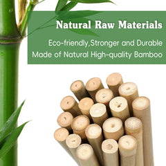 Pack of 20 Stroller bamboo plant support stakes in natural colour