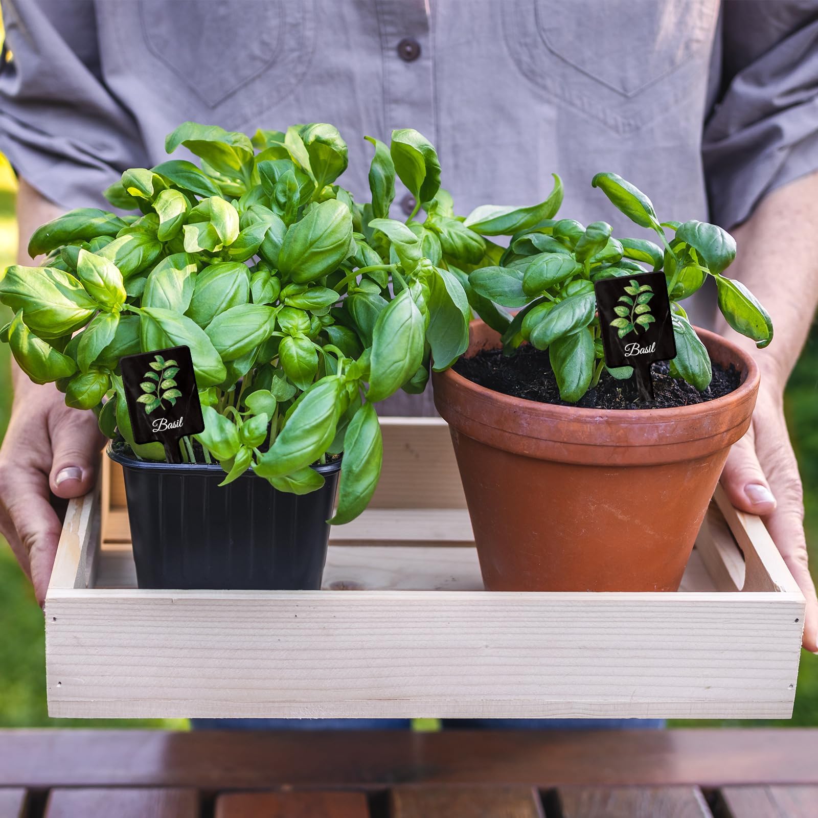 Pack of 24 acrylic plant labels displayed together