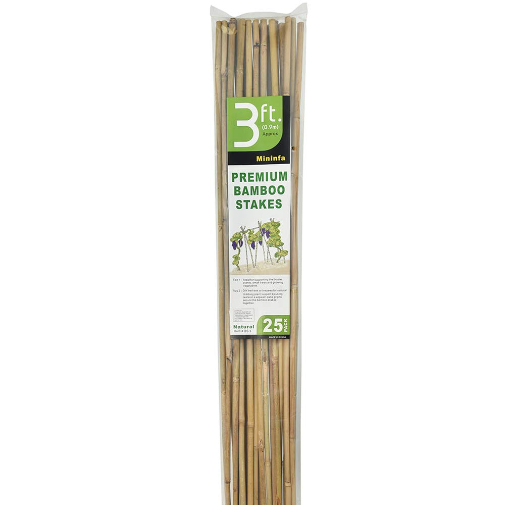 Pack of 25 Mininfa bamboo stakes with measurement details