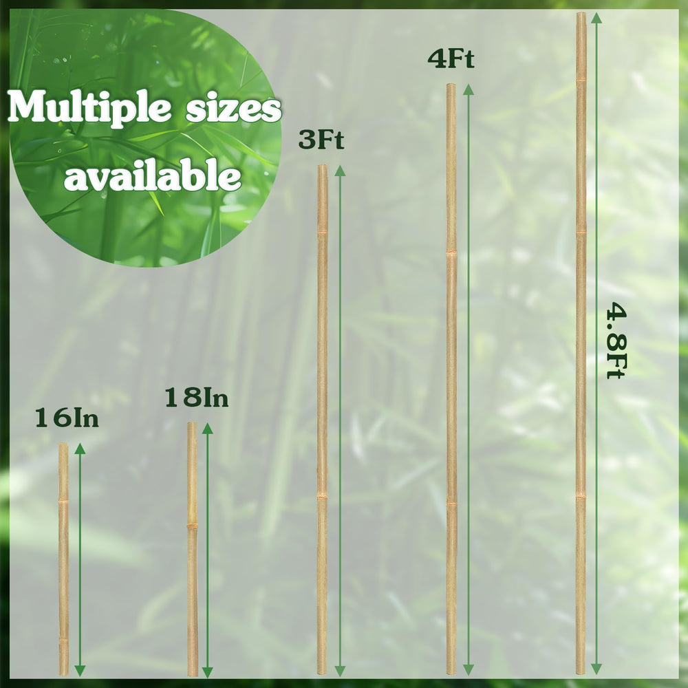 Pack of 25 Stroller Bamboo Plant Stakes 3 FT