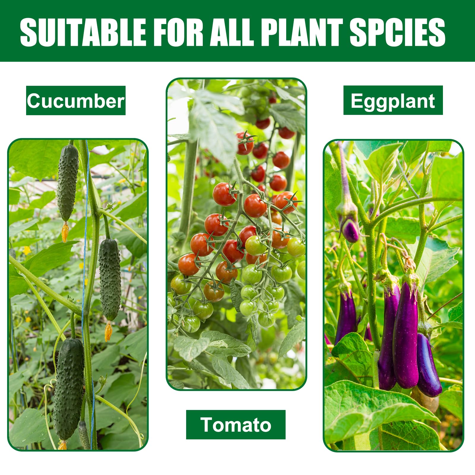 Pack of 25 Tingyuan plant stakes packaging