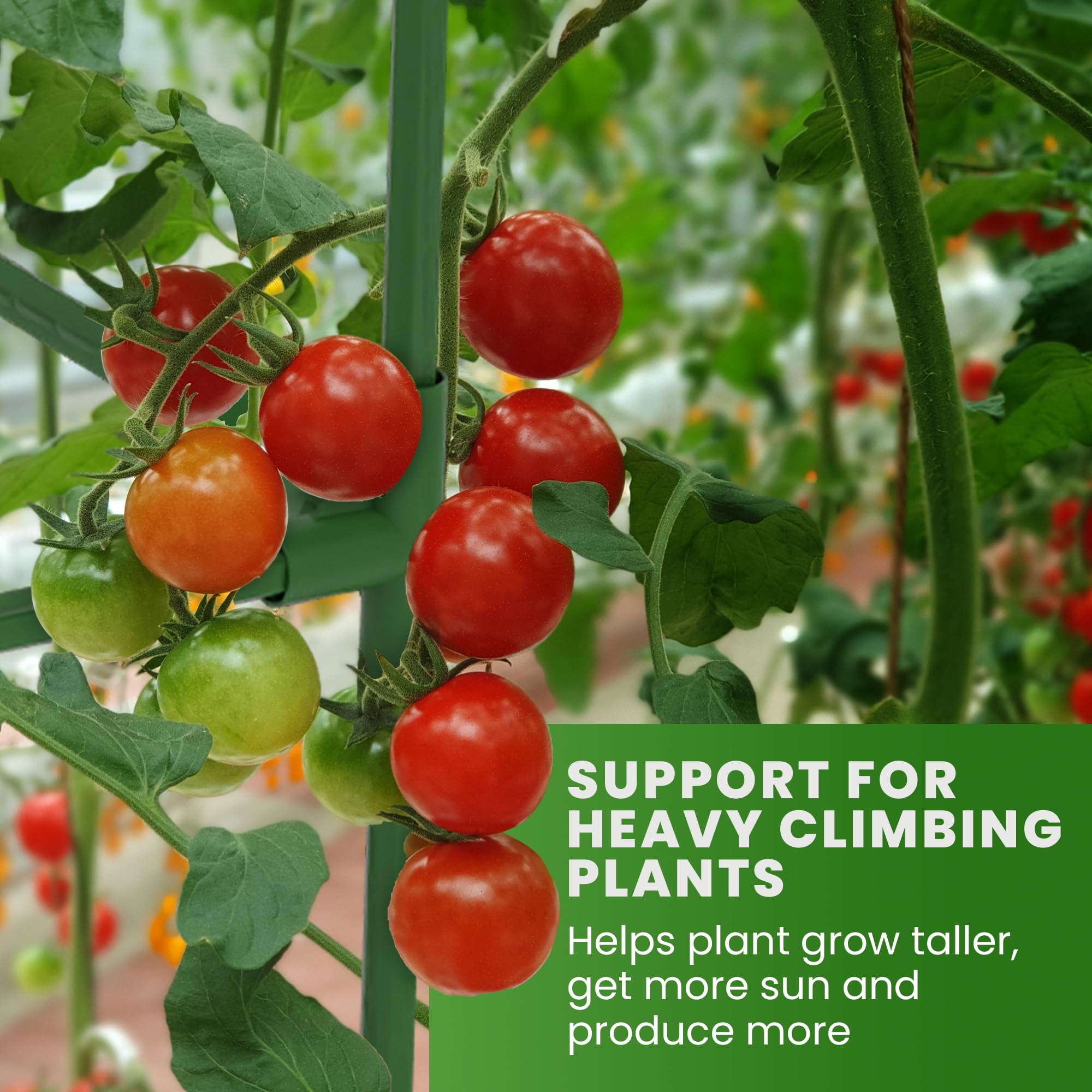 Pack of 3 K-Brands Tomato Cages with packaging