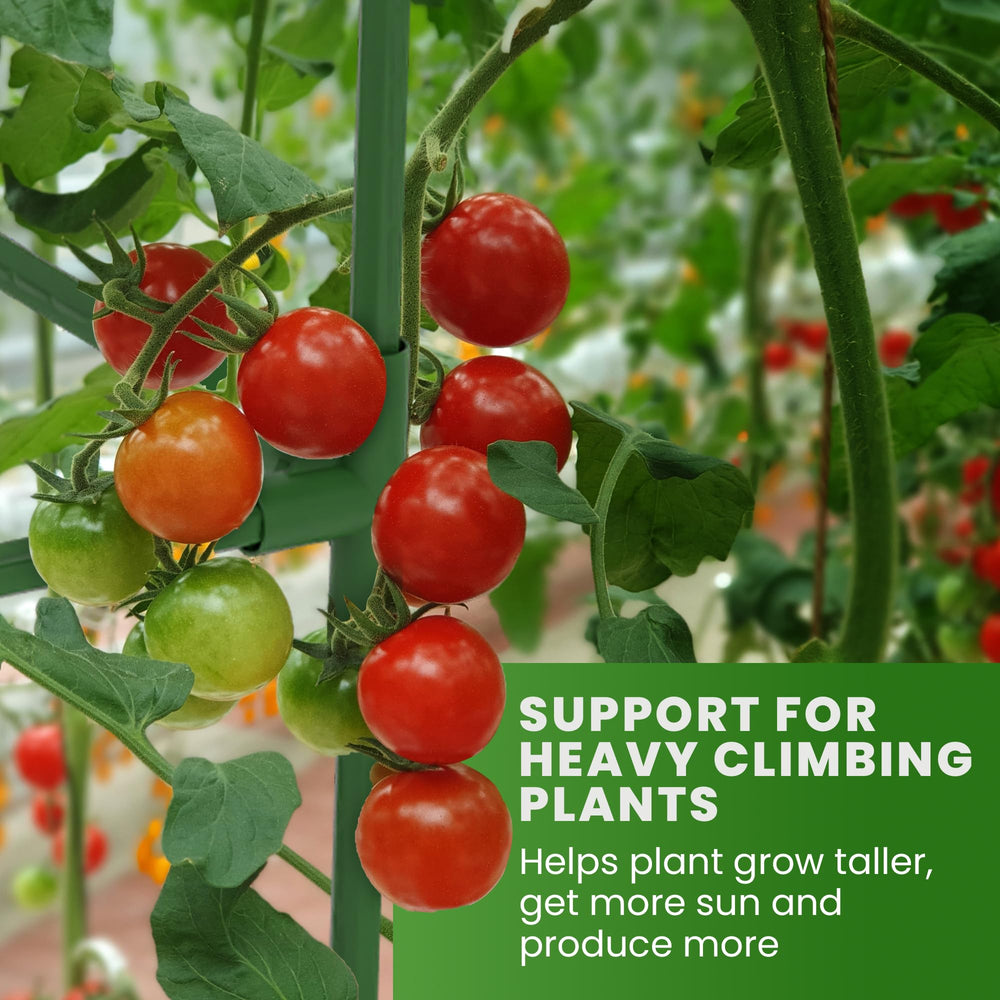 Pack of 3 K-Brands Tomato Cages with packaging