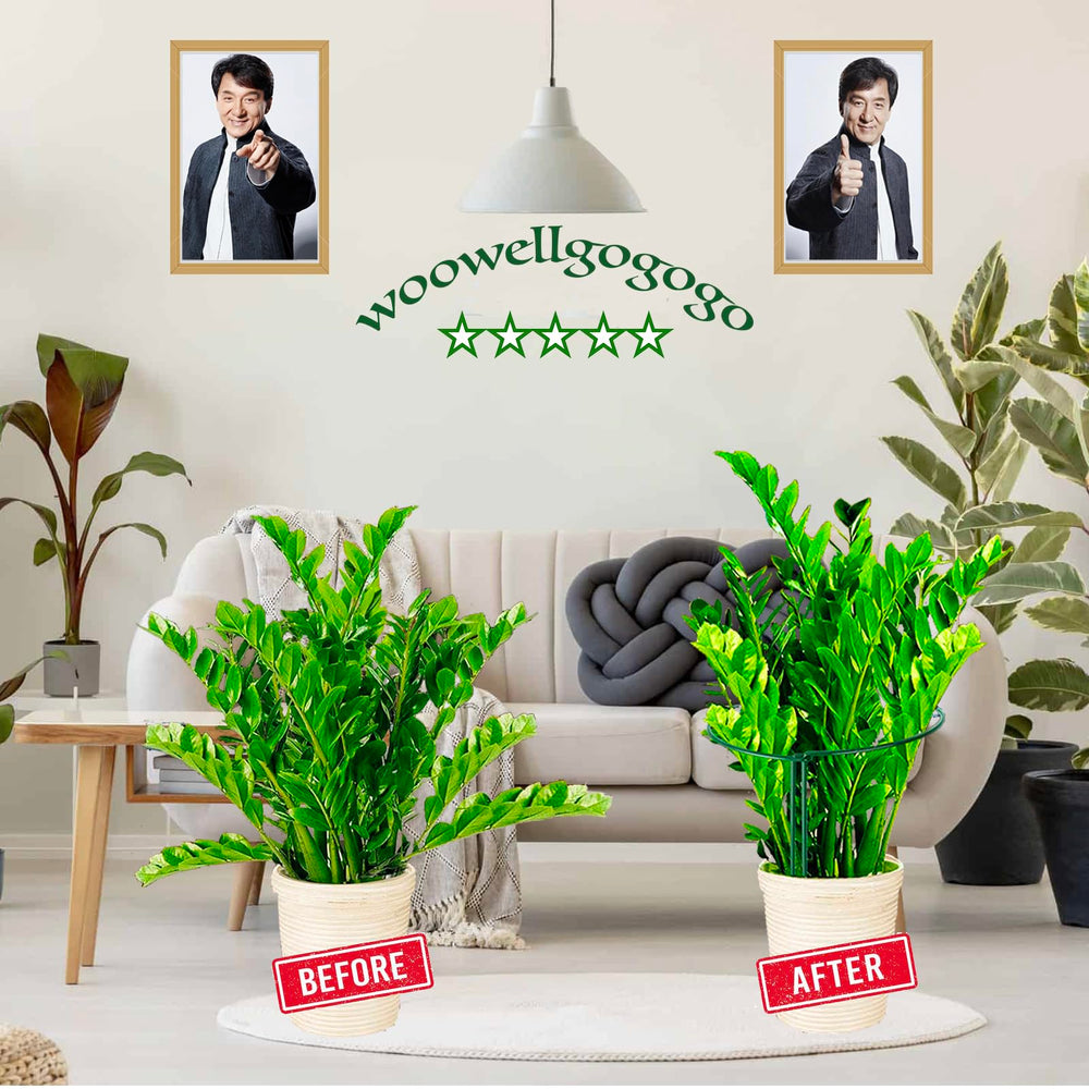 Pack of 4 plant support stakes with packaging