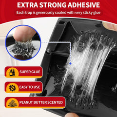 Pack of 48 LULUCATCH Glue Traps displayed