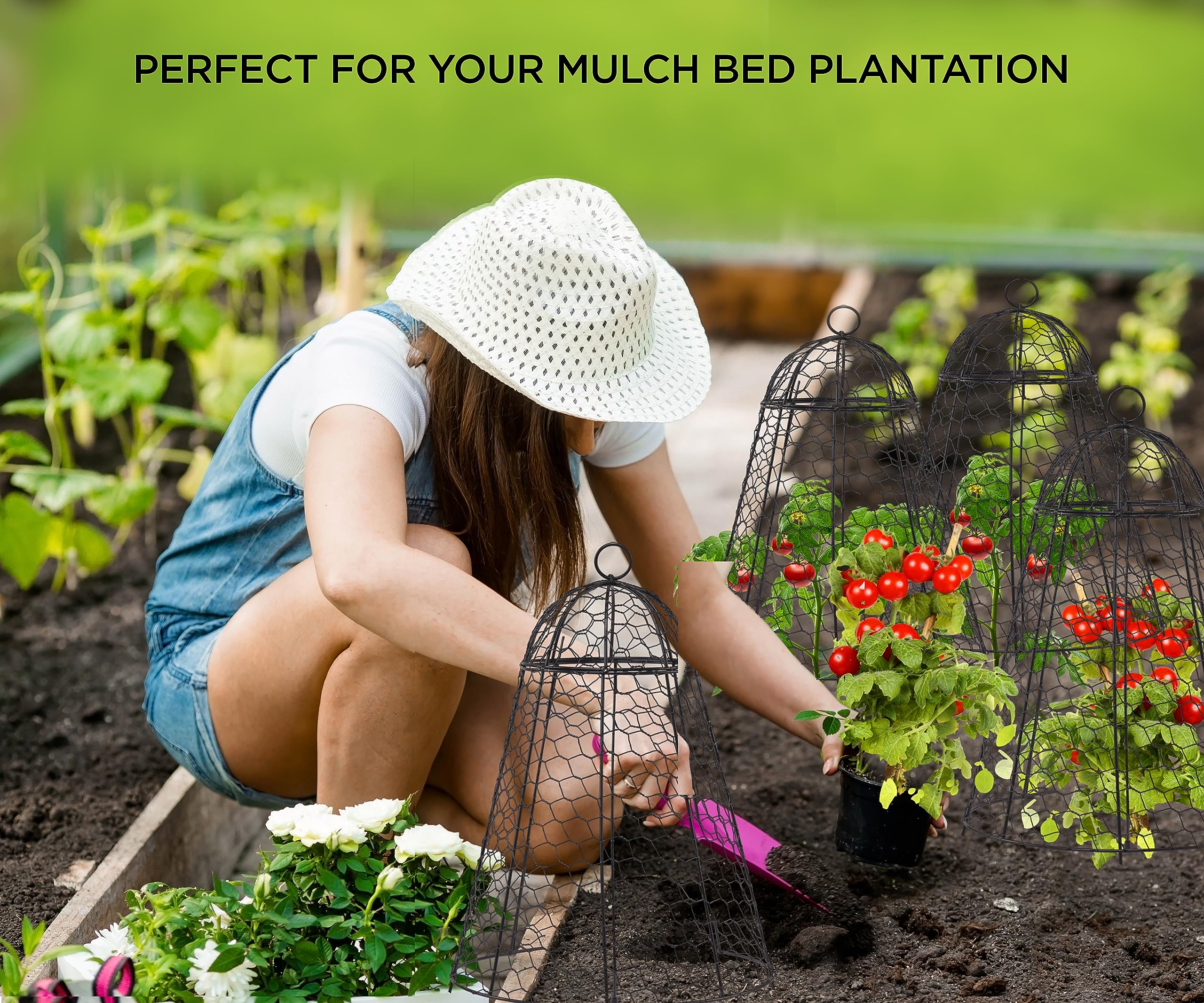 Pack of 6 boldworks Garden Cloches in retail packaging
