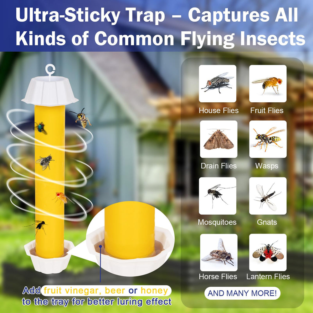 Pack of 6 Dwcom Trap Sticky Fly Traps in Packaging