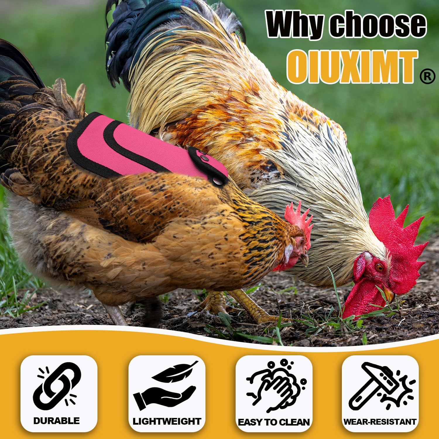 Pack of 6 OIUXIMT Chicken Saddles in assorted colours