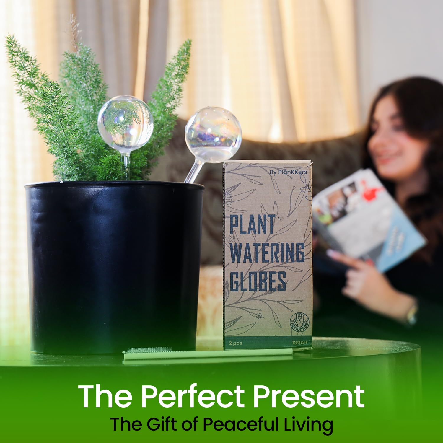 Pack of 6 PlanKKers iridescent self watering globes in packaging