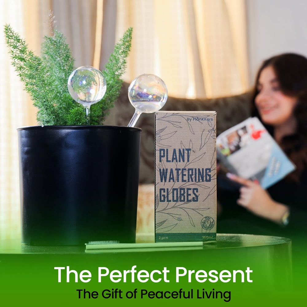 Pack of 6 PlanKKers iridescent self watering globes in packaging