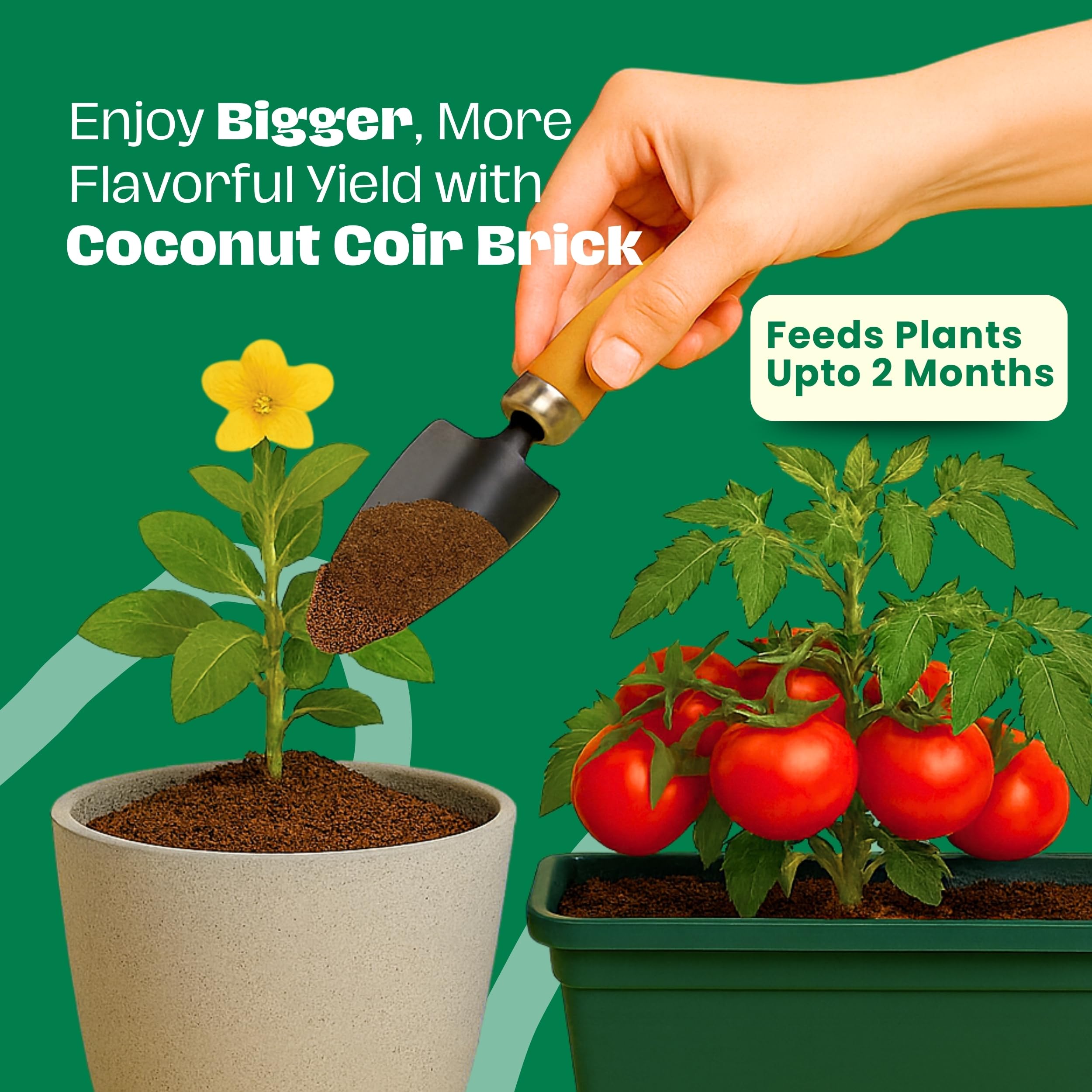 Pack of Gro-Med Coco Coir Bricks with instructions