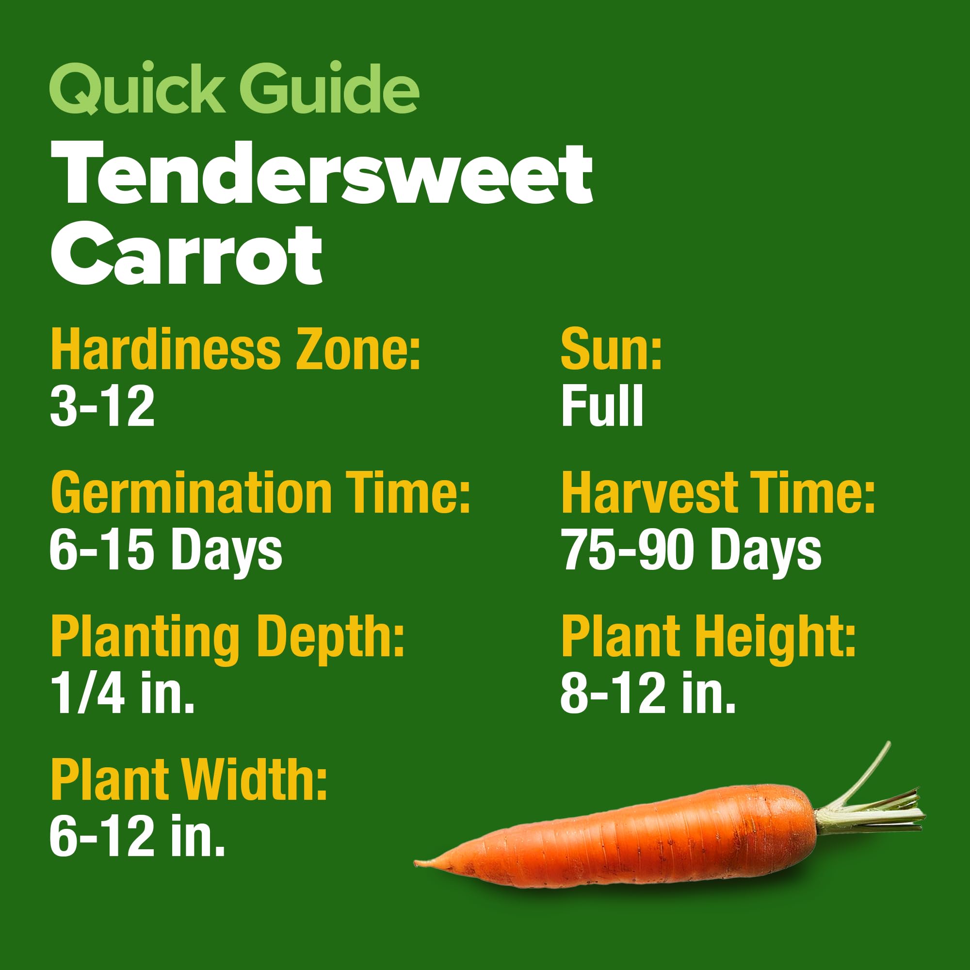 Pack of HOME GROWN Tendersweet Carrot Seeds back view